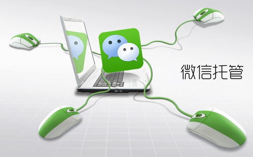 優(yōu)化電腦圖文設(shè)計(jì)制作業(yè)務(wù)流程 高效降低運(yùn)營成本與提升運(yùn)營效果