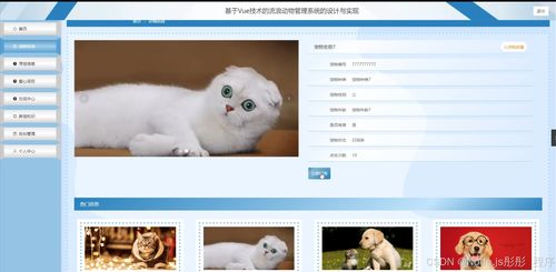基于Vue與Flask的流浪動(dòng)物管理系統(tǒng)的設(shè)計(jì)與實(shí)現(xiàn)